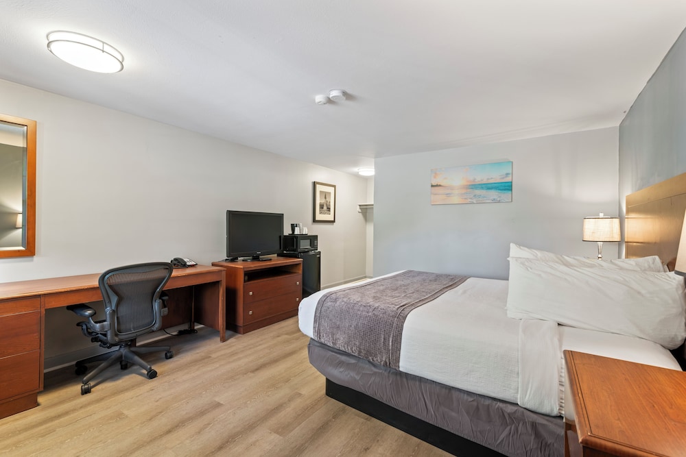 Basic Room, 1 King Bed - Photo 1