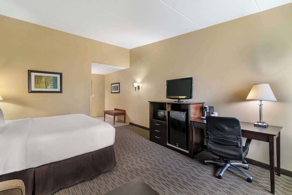 Standard Single Room, 1 King Bed With Sofa Bed, Non Smoking, Refrigerator & Microwave (With Sofabed) - Photo 6