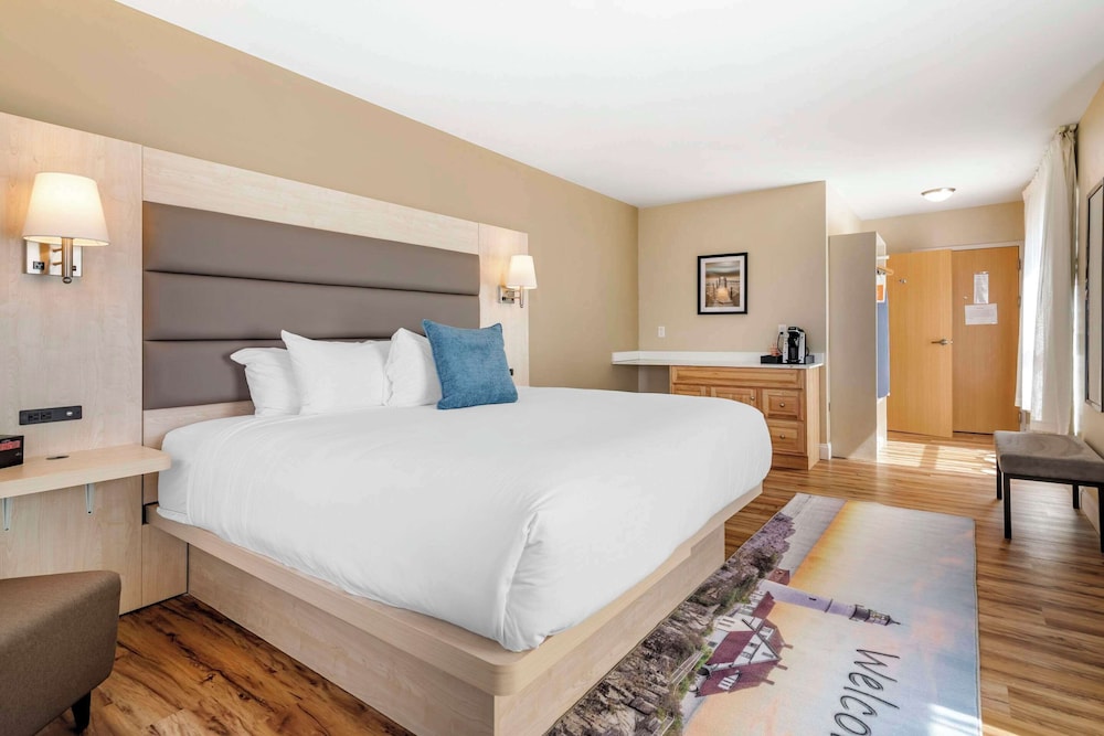 Room, 1 King Bed, Accessible, Non Smoking (Roll-In Shower) - Photo 2