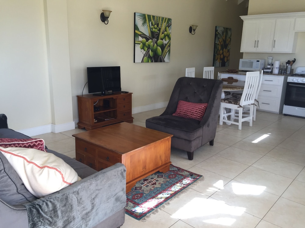 Luxury Apartment, 2 Bedrooms, Ocean View photo 1