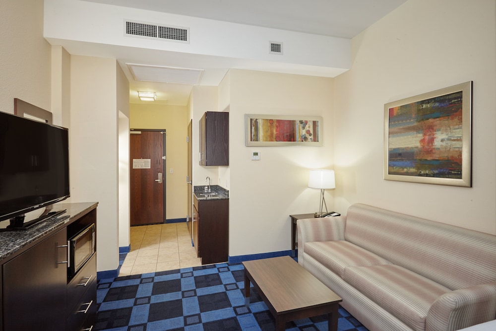 Suite, 1 King Bed photo 1