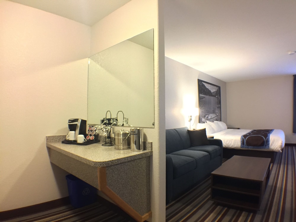 Deluxe Studio Suite, 1 King Bed, Non Smoking - Photo 7