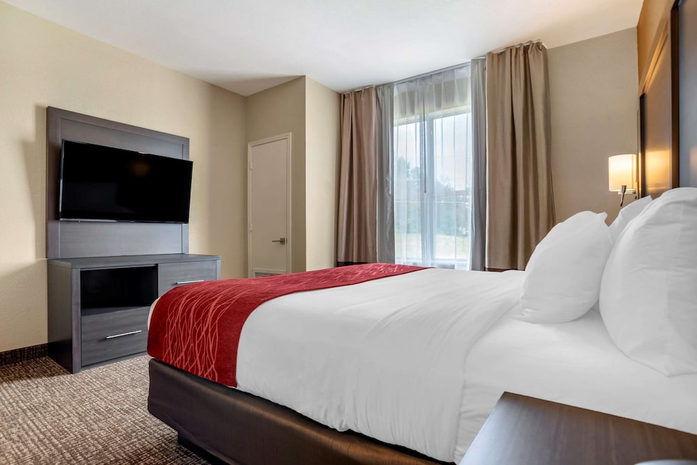 Suite, 1 King Bed with Sofa bed, Non Smoking (2 TVs) photo 3