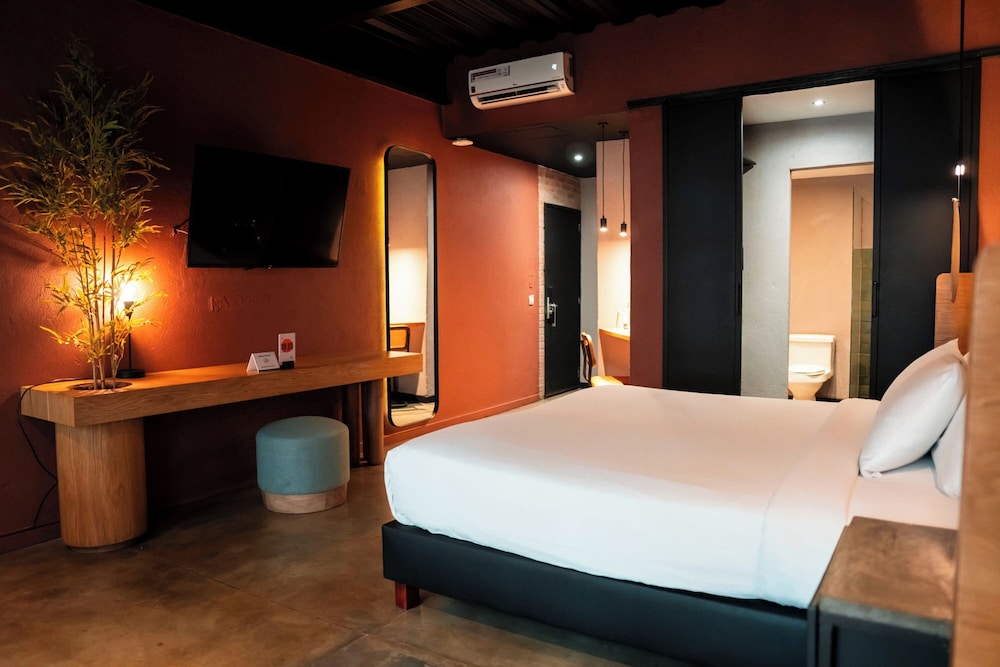 Superior Double Room photo 2