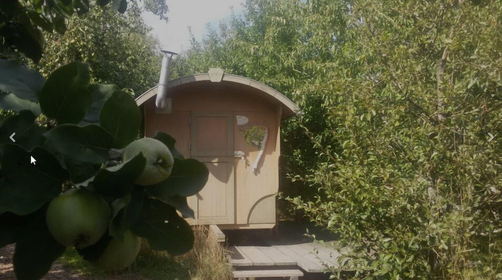 Mobile Home (5) photo 2