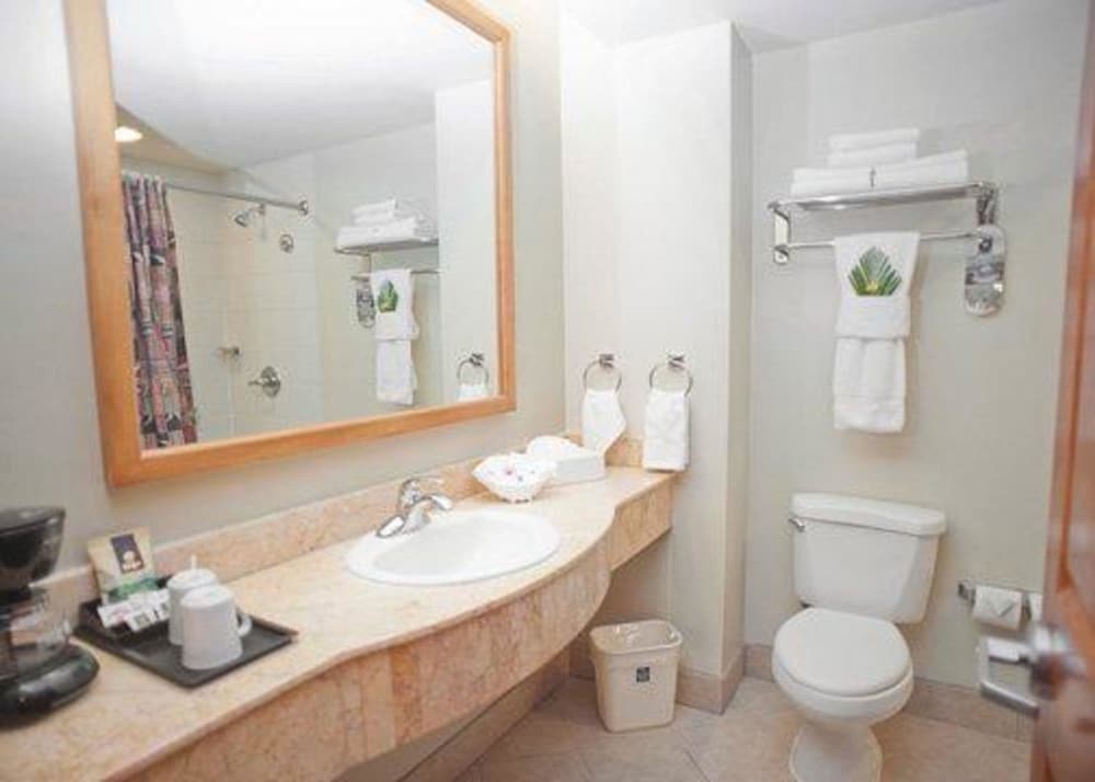 Suite, 1 King Bed with Sofa bed, Non Smoking - Photo 11