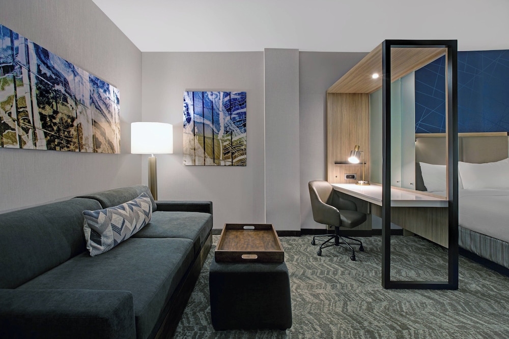 SpringHill Suites by Marriott Franklin Cool Springs, Photo 8