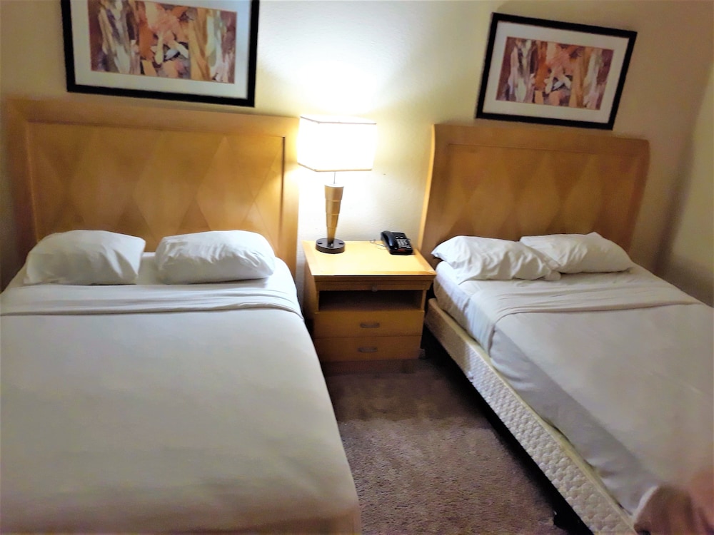 Basic Room, 1 King Bed, Non Smoking photo 3