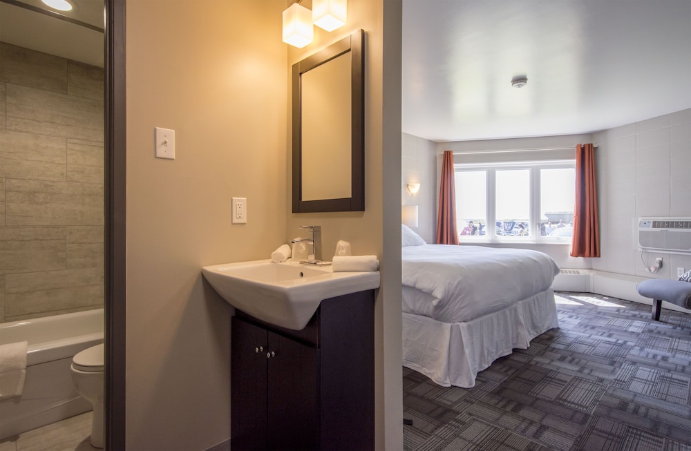 Premium Double Room, 1 King Bed photo 1