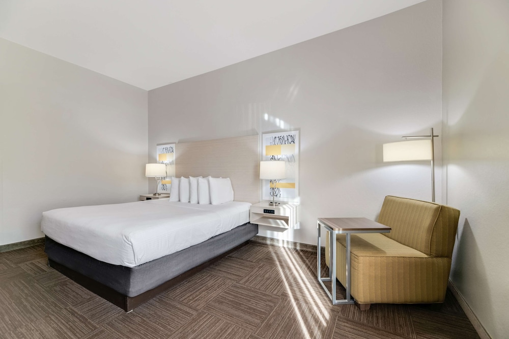 Standard Room, 1 King Bed, Accessible, Refrigerator & Microwave - Photo 2