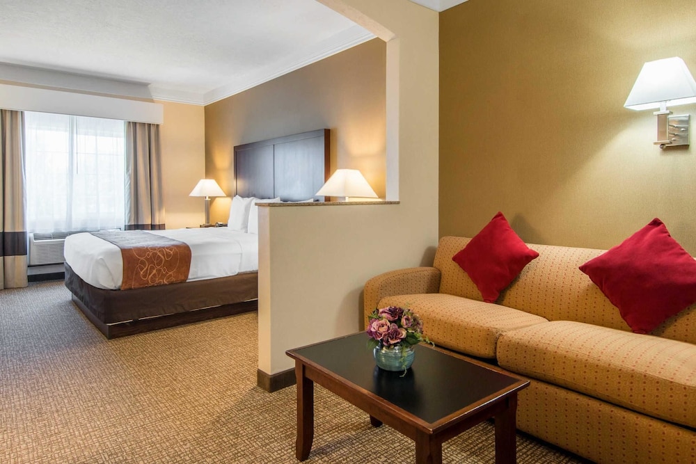 Suite, 1 King Bed, Non Smoking - Photo 5