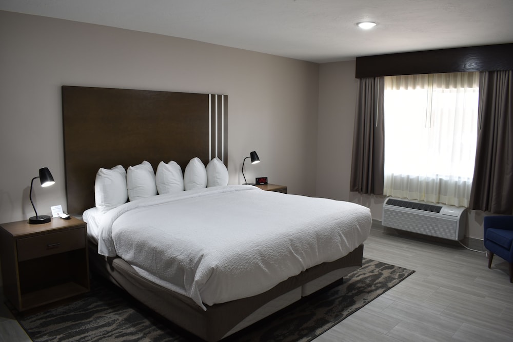 Standard Room, 1 King Bed, Accessible