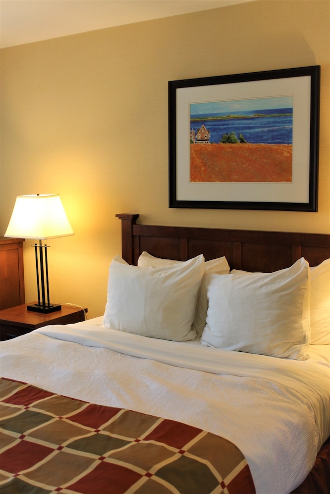Basic 1 Queen Bed  Suite - Main building photo 3