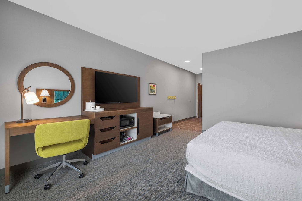 Room, 1 King Bed, Accessible (Mobility, Hearing, Roll-in Shower) - Photo 5