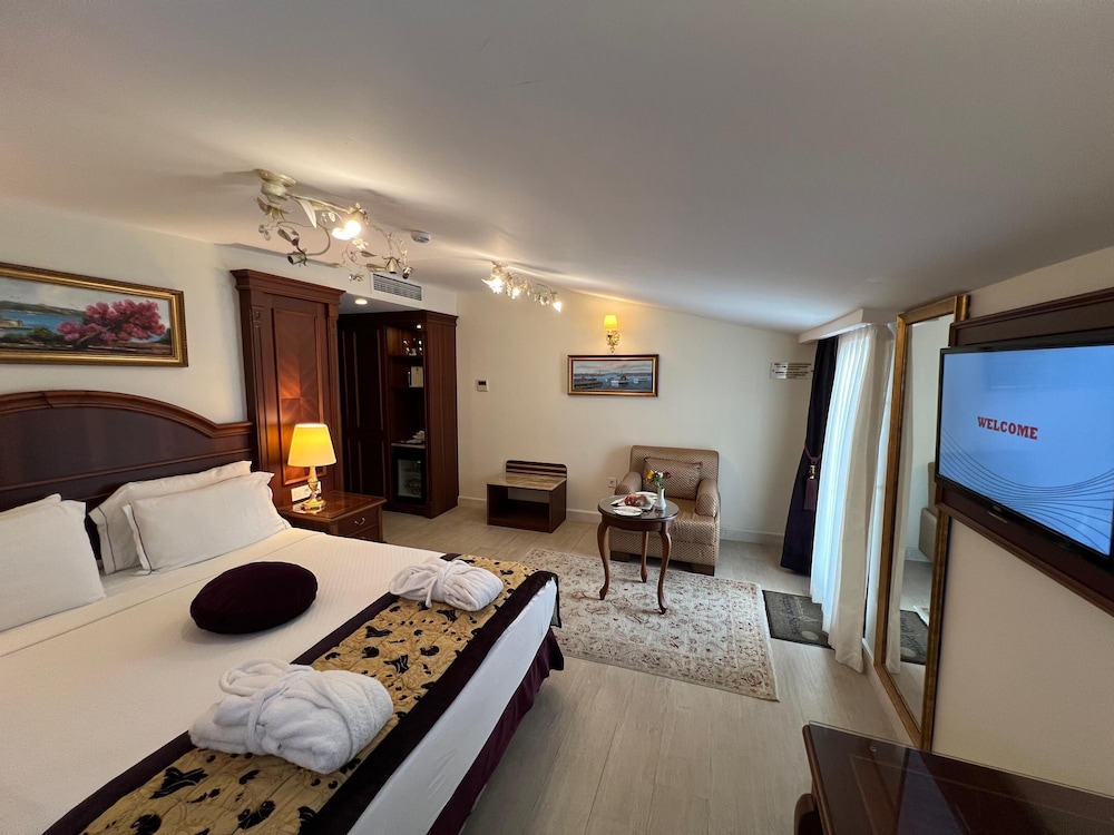Deluxe Double or Twin Room photo 3