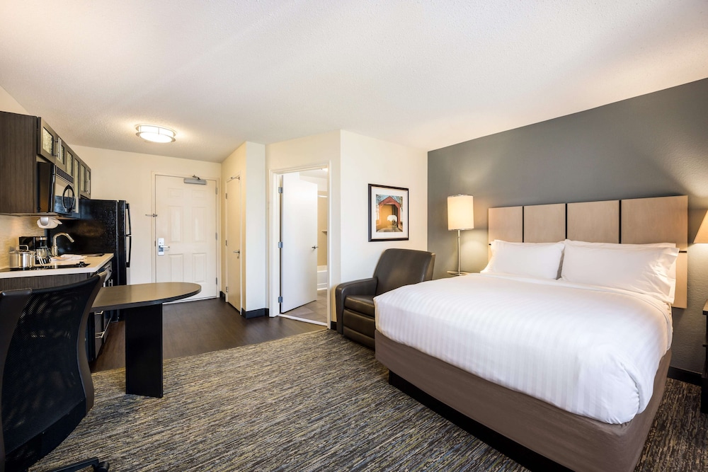 Studio Suite, 1 Queen Bed (Studio) - Photo 3
