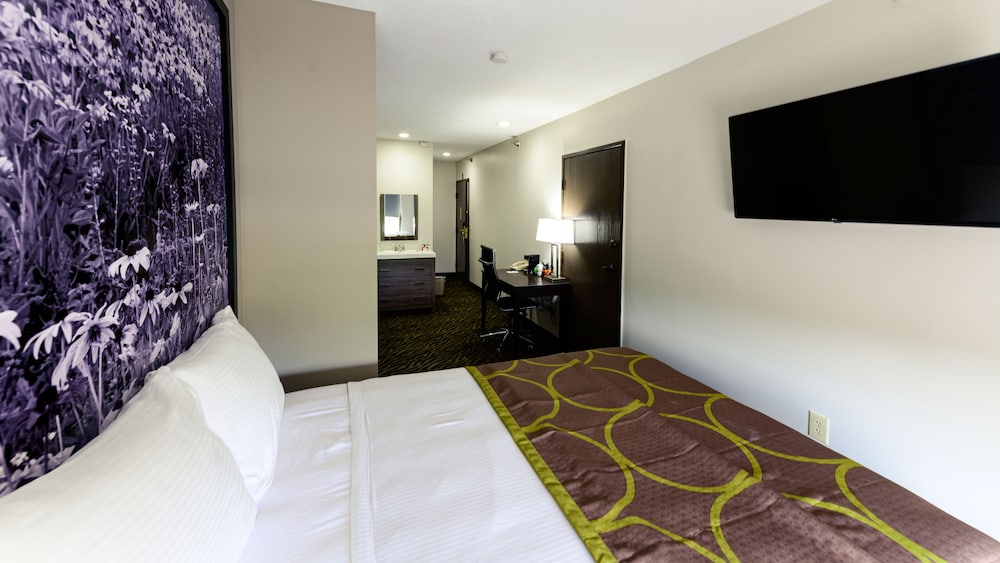 Room, 1 Queen Bed, Non Smoking (Small) - Photo 2