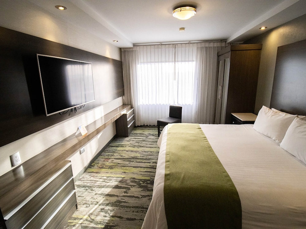 Executive Studio Suite photo 3