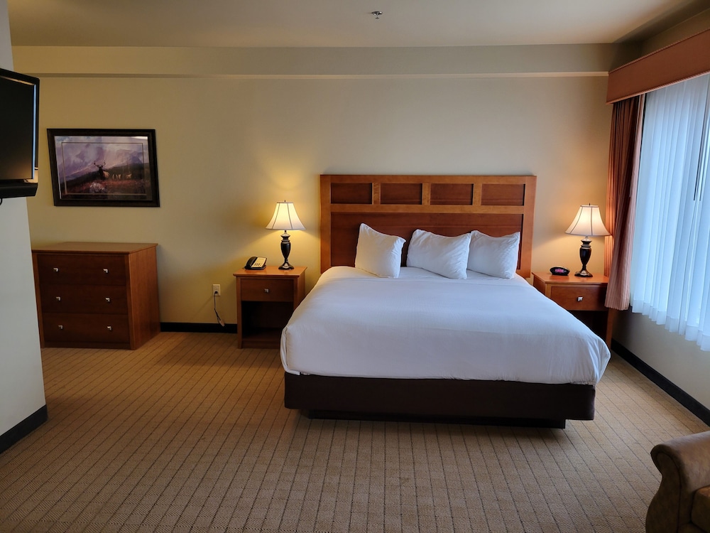 Deluxe Room, 1 King Bed with Sofa bed, Kitchen (Large King Studio Half Kitchen) photo 3