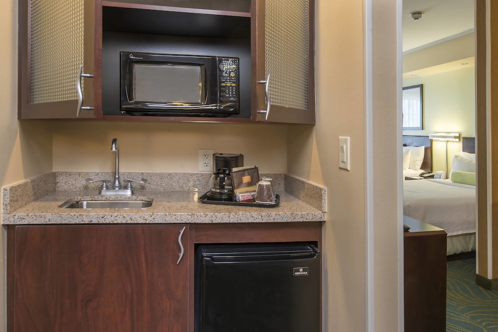 Suite, 1 Bedroom (Mobility/Hearing Access, Roll-In Shwr) photo 2