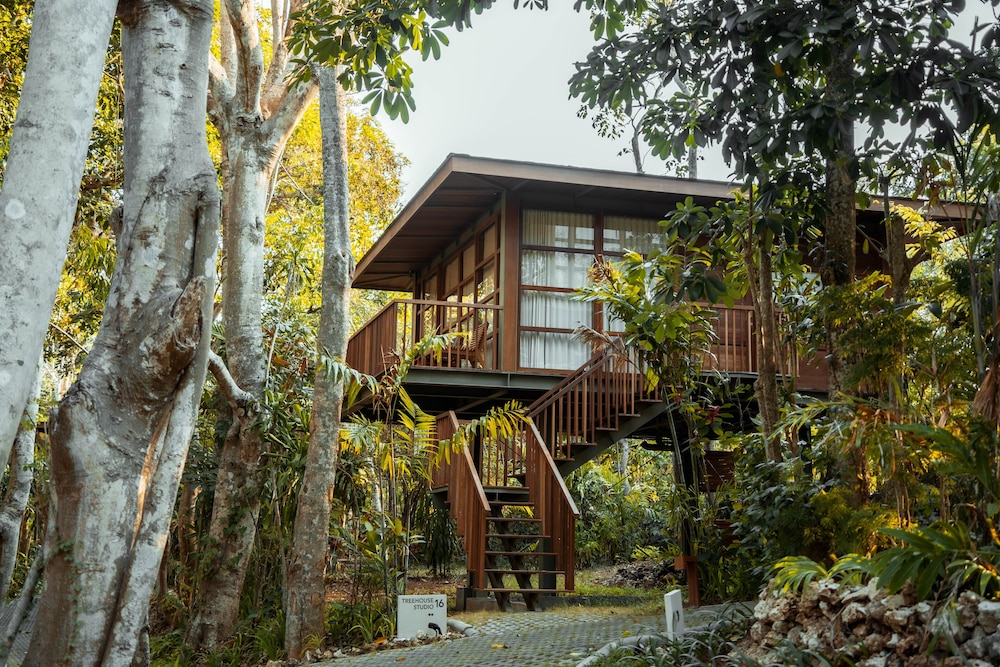 Tree House (Studio) - Photo 4