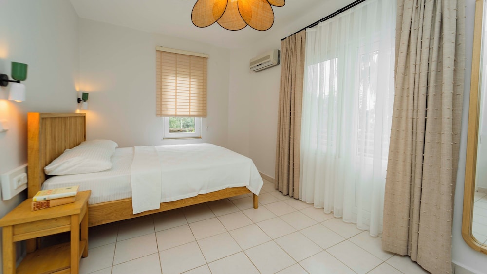Superior Room photo 3