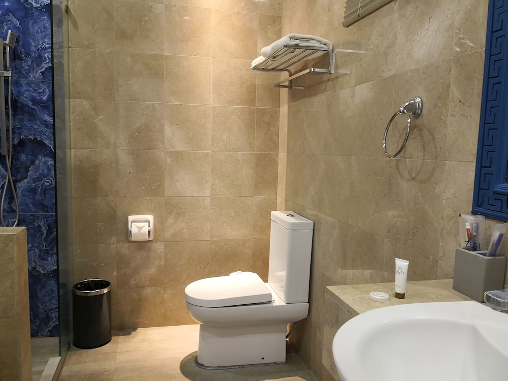 Deluxe Room photo 2