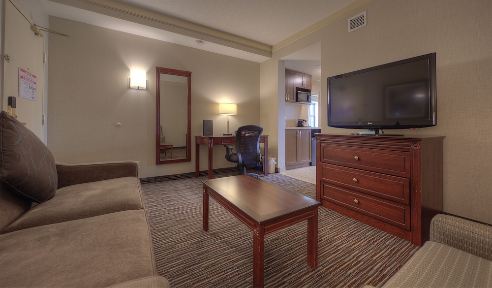 Suite, 1 King Bed, Non Smoking, Refrigerator & Microwave (with Sofabed) - Photo 2