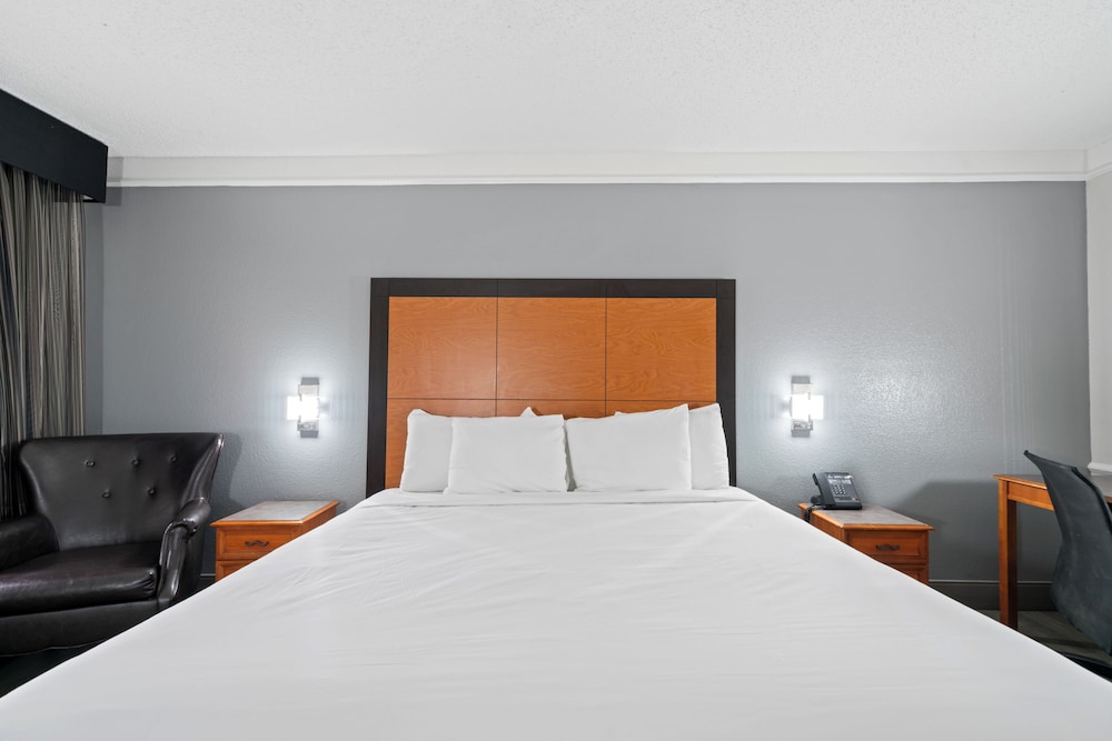 Room, 1 King Bed, Non Smoking photo 2