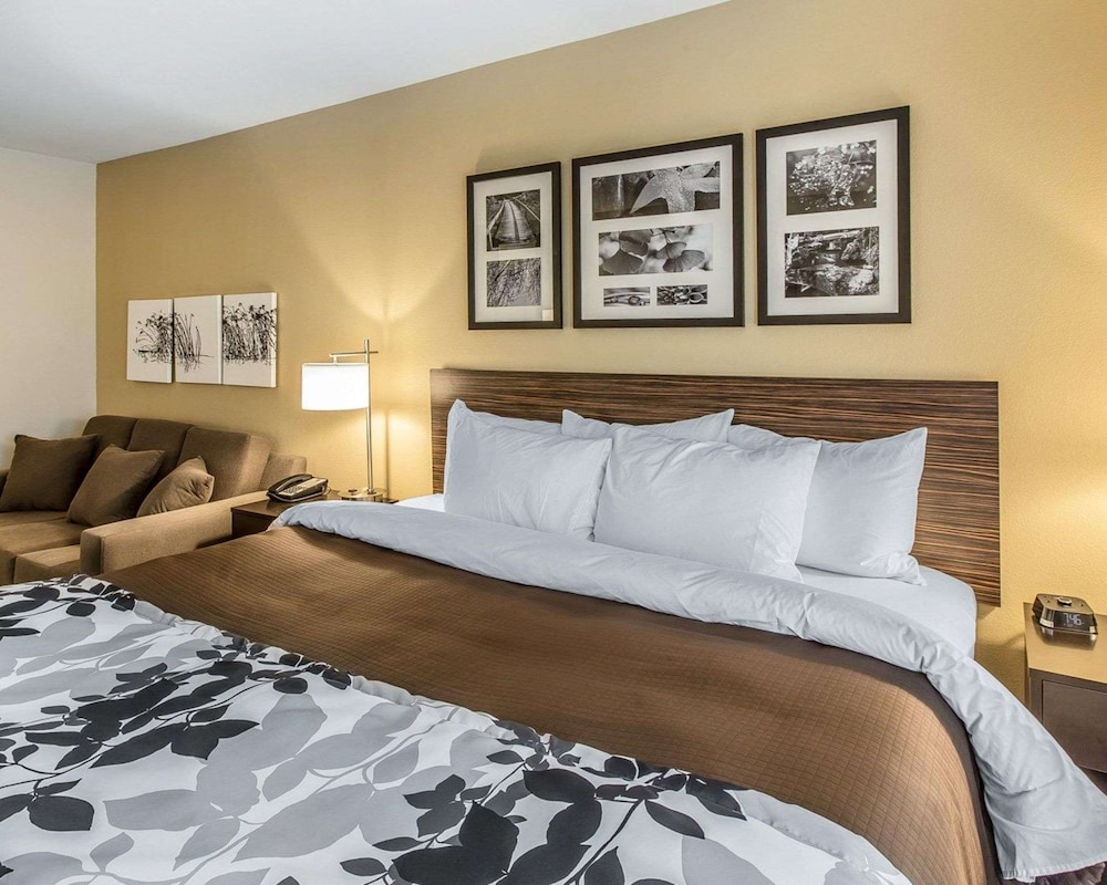 Suite, 1 King Bed, Accessible, Non Smoking photo 2