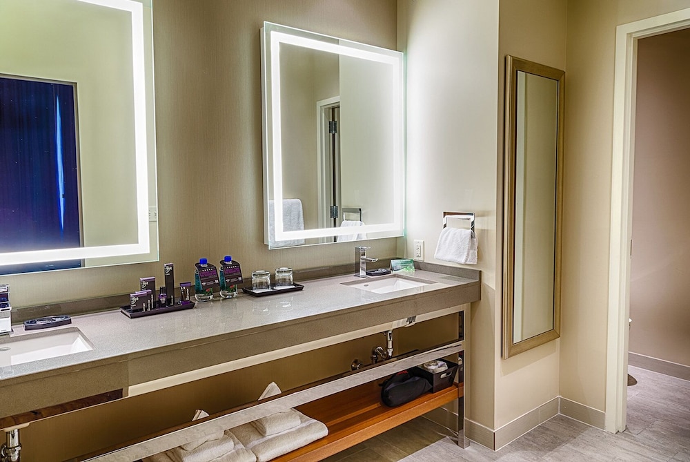 Standard Suite, 1 King Bed