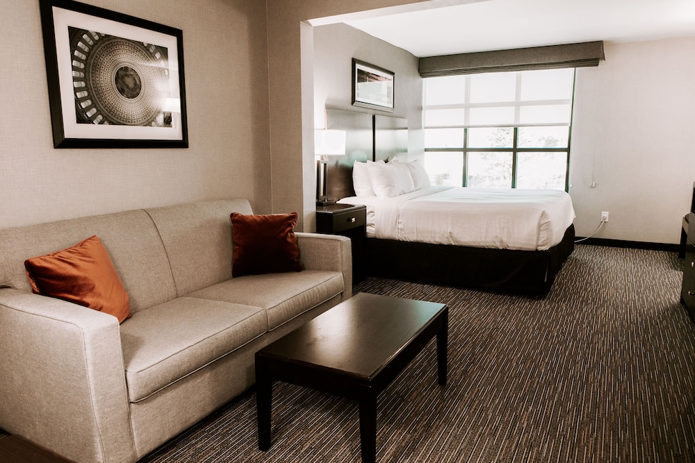 Standard Room, 1 King Bed, Accessible - Photo 4
