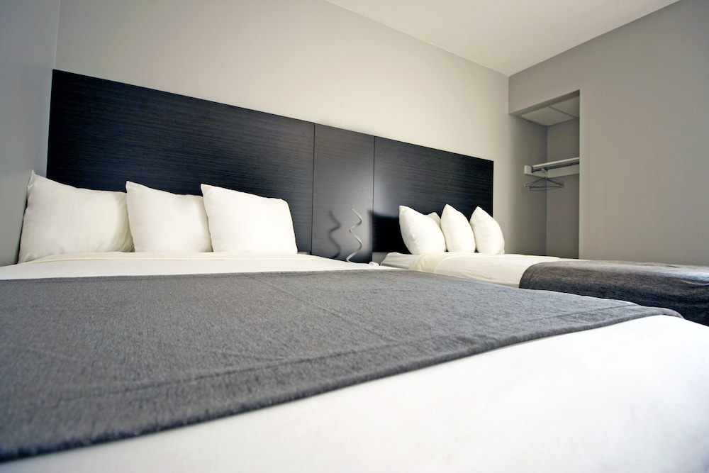 Two Room Suite - II photo 1