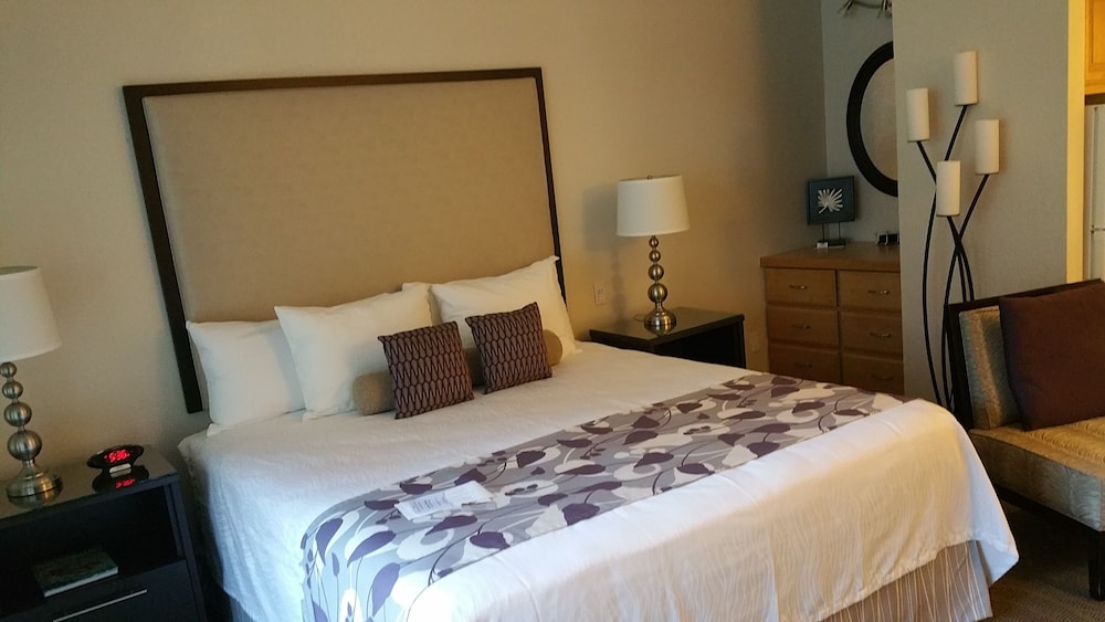 Studio Suite photo 1