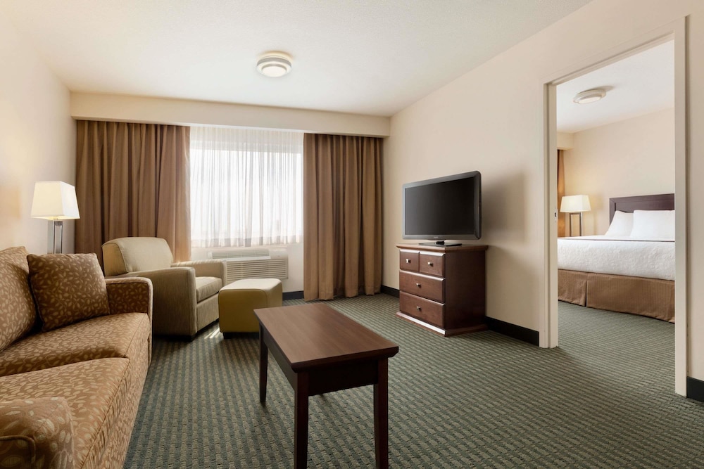 Suite, 1 King Bed, Non Smoking (One-Bedroom) photo 1
