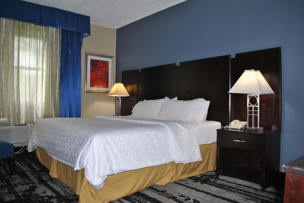 Standard Room, 1 King Bed, Non Smoking, Refrigerator & Microwave - Photo 1