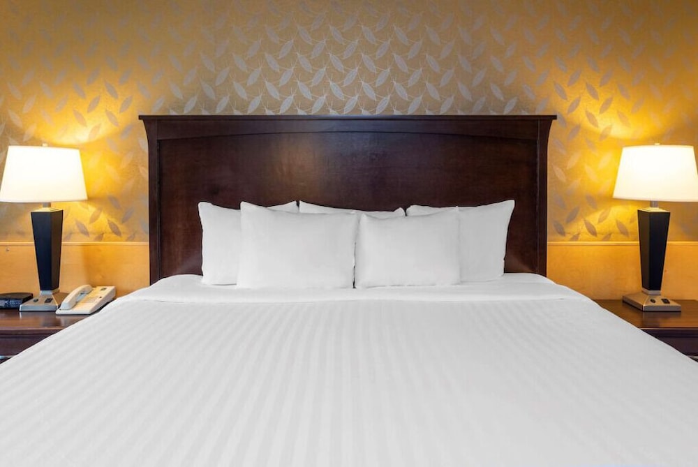 Deluxe Room, 1 King Bed, Kitchenette