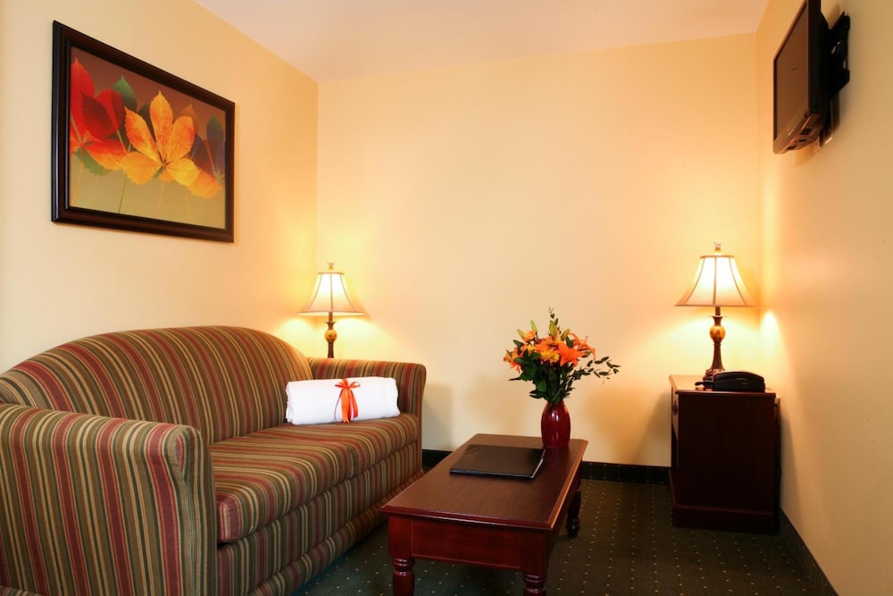 Suite, 1 Queen Bed with Sofa bed photo 2