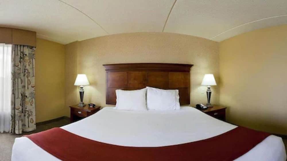 Standard Room, 1 King Bed, Accessible - Photo 1