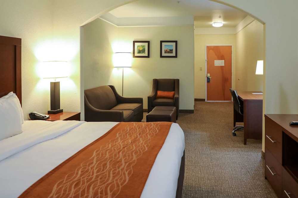 Suite, 1 King Bed with Sofa bed, Accessible, Non Smoking - Photo 4