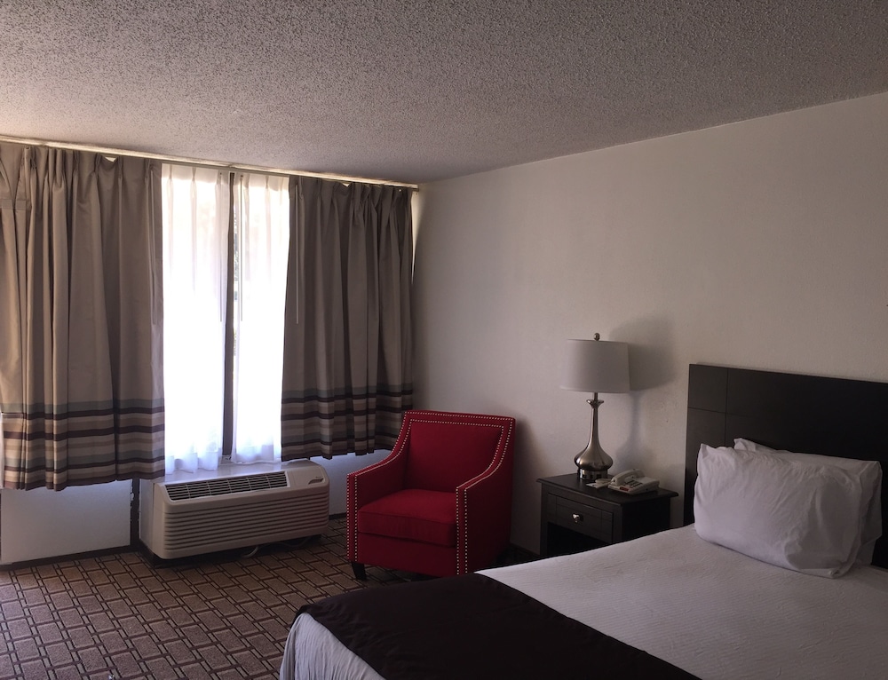 Room, 1 King Bed photo 2