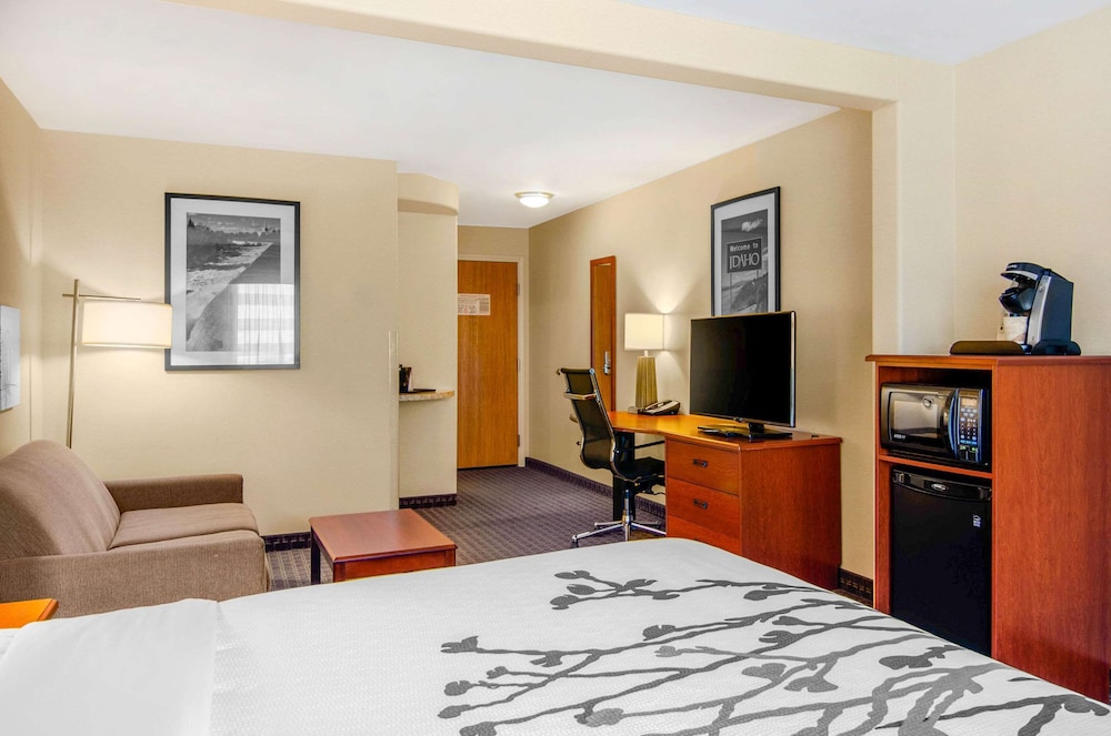 Suite, 1 King Bed With Sofa Bed, Non Smoking photo 3