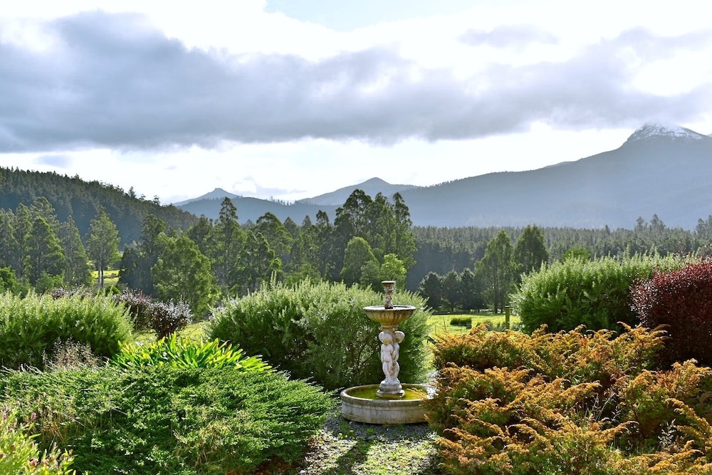 Superior Apartment, 1 Bedroom, Mountain View photo 3