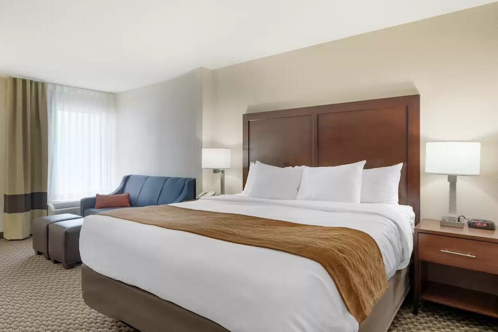 Standard Room, 1 King Bed, Non Smoking - Photo 6
