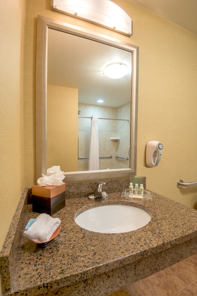 Standard Room, 1 King Bed, Accessible (Hearing, Mobility Tub) - Photo 4