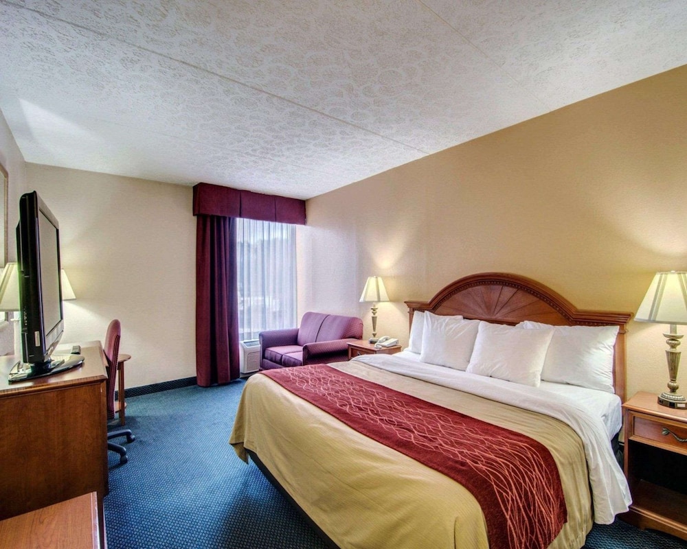 Standard Room, 1 King Bed, Non Smoking - Photo 4