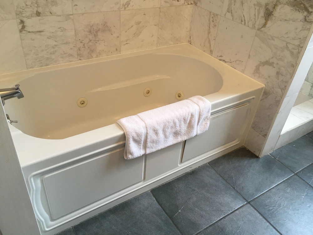 Large Extended Suite 503 (1bdrm apt) - Photo 15