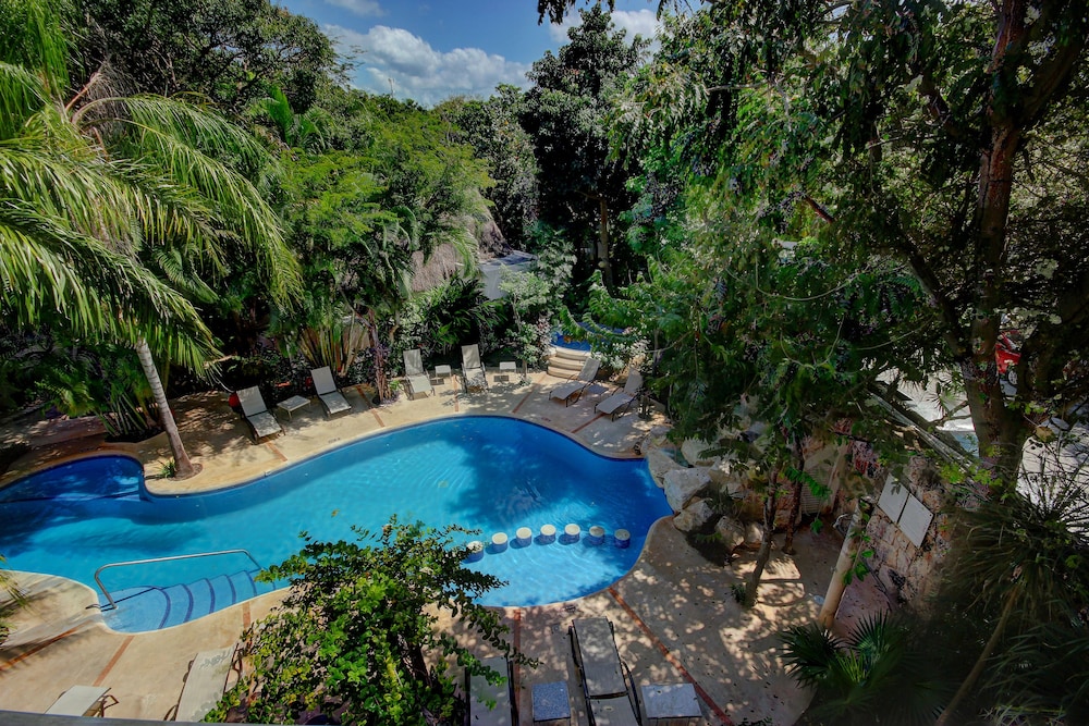 Riviera 3 bedrooms garden view - Photo 6