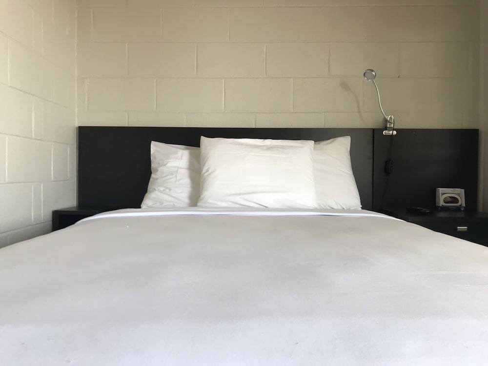 The Cedar Motel, Φωτογραφία 4