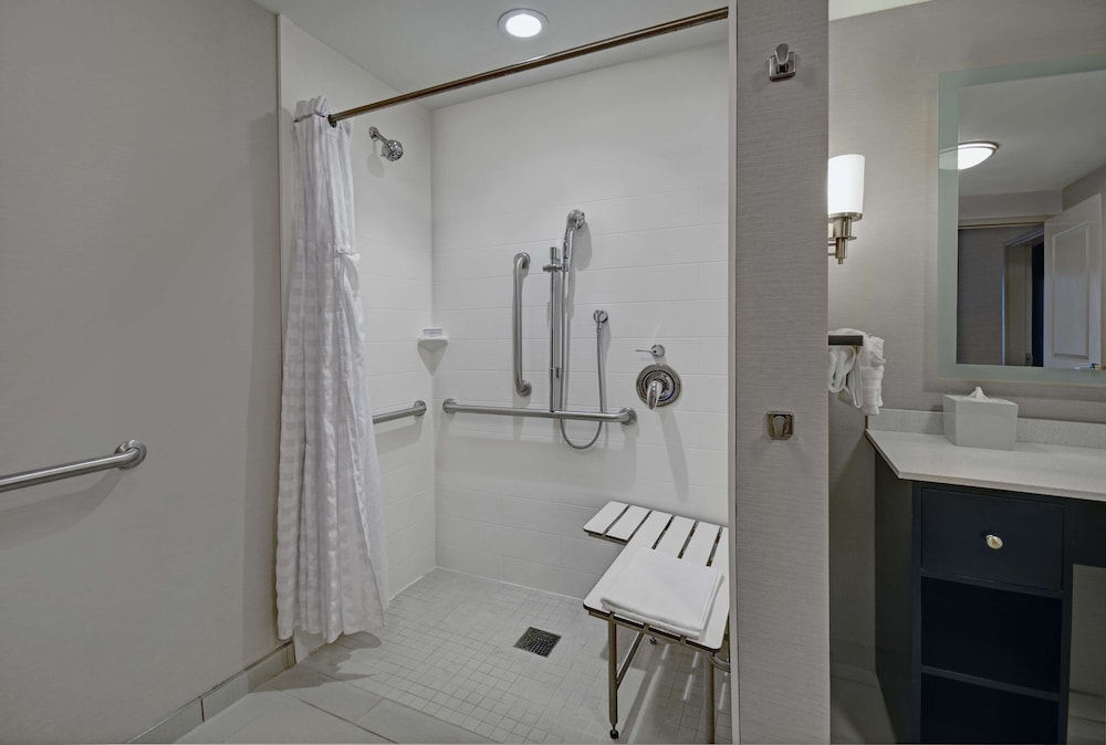 Studio, 1 King Bed, Accessible (Roll-in Shower)